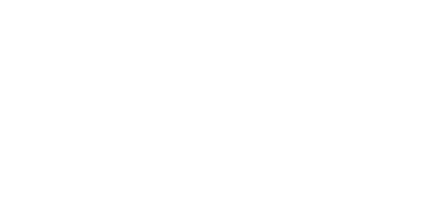 Dieses DoN-Logo zeigt einen weißen Schriftzug auf schwarzem Hintergrund.